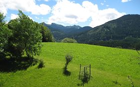 Bergblick